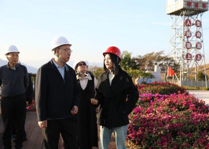 四川能源发展集团外部董事服务中心（...