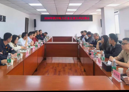 国家电网公司西南分部党委委员、副主...
